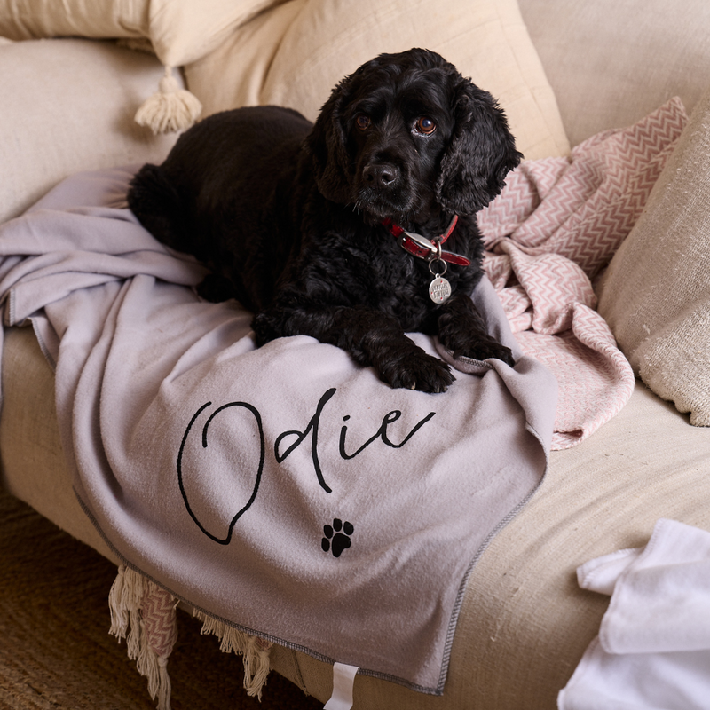 Personalised Pet Blanket - Gifts for Pets - Sunday's Daughter