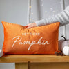 Hey There Pumpkin Velvet Cushion