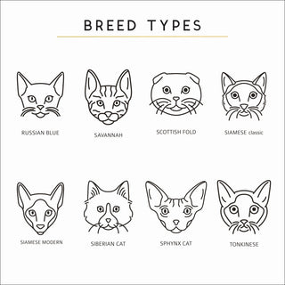 Cat Breed Types - Sunday's Daughter