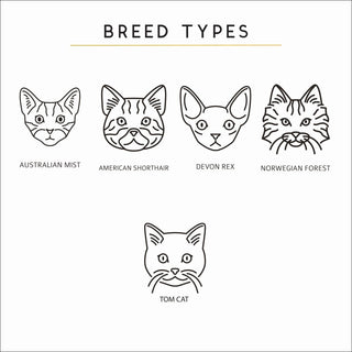 Cat Breed Types - Sunday's Daughter