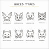Cat breed options