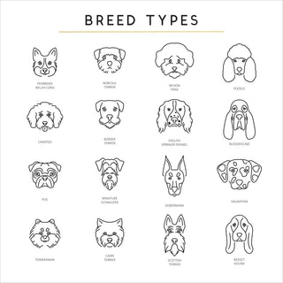 Dog Breed Types - Sunday's Daughter