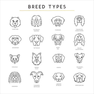 Dog Breed Types - Sunday's Daughter